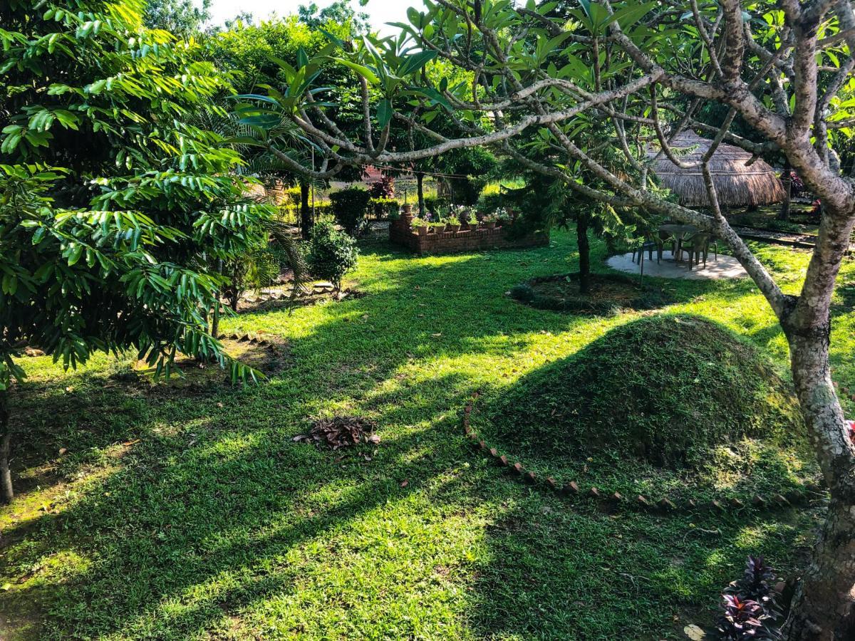 Hotel Tharu Garden, Sauraha Extérieur photo